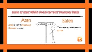 Eaten or Aten: Which One Is Correct? Grammar Guide (2026)
