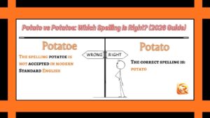 Potato vs Potatoe Which Spelling Is Right